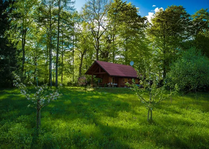 Silent Orchard Naklo